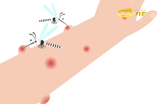 con muỗi số mấy