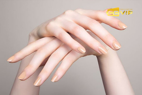 dấu hiệu trúng số độc đắc