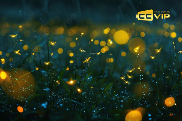 đom đóm bay vào nhà