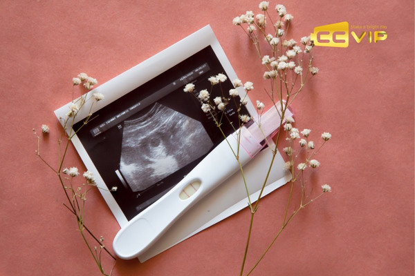 mơ có bầu là điềm gì