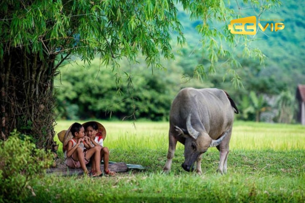 mơ thấy trâu đánh con gì