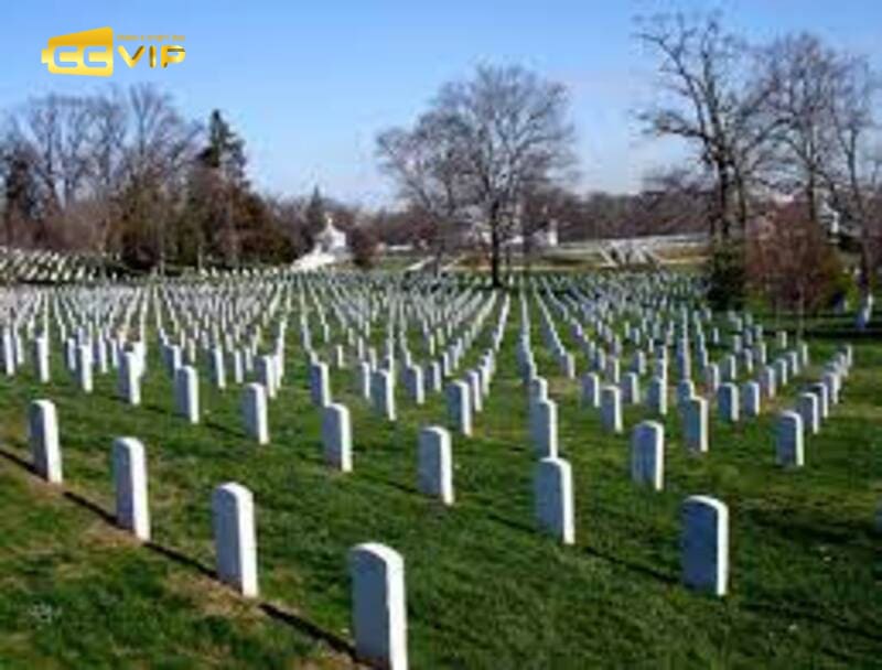 mơ thấy mộ đánh con gì