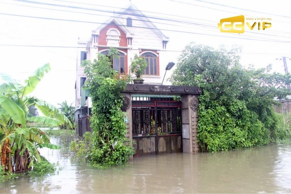mơ thấy nước ngập