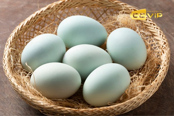 con vịt số mấy