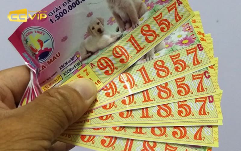 nằm mơ thấy trúng số